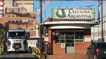 Celulosa reportó pérdidas por $ 172.634 millones y está cerca de la quiebra