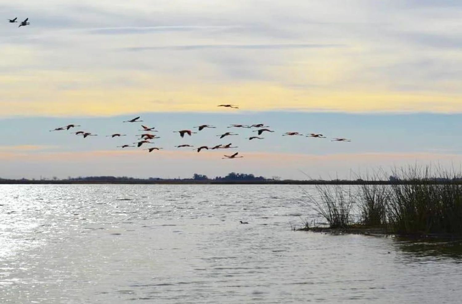 Un proyecto busca declarar la laguna El Hinojo como Área Natural Protegida