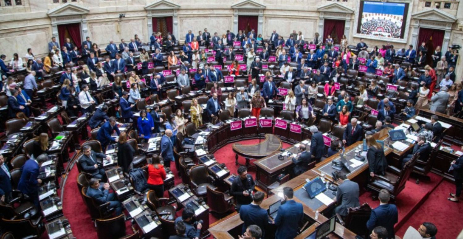 En una maratónica sesión, Diputados debate el Presupuesto 2023