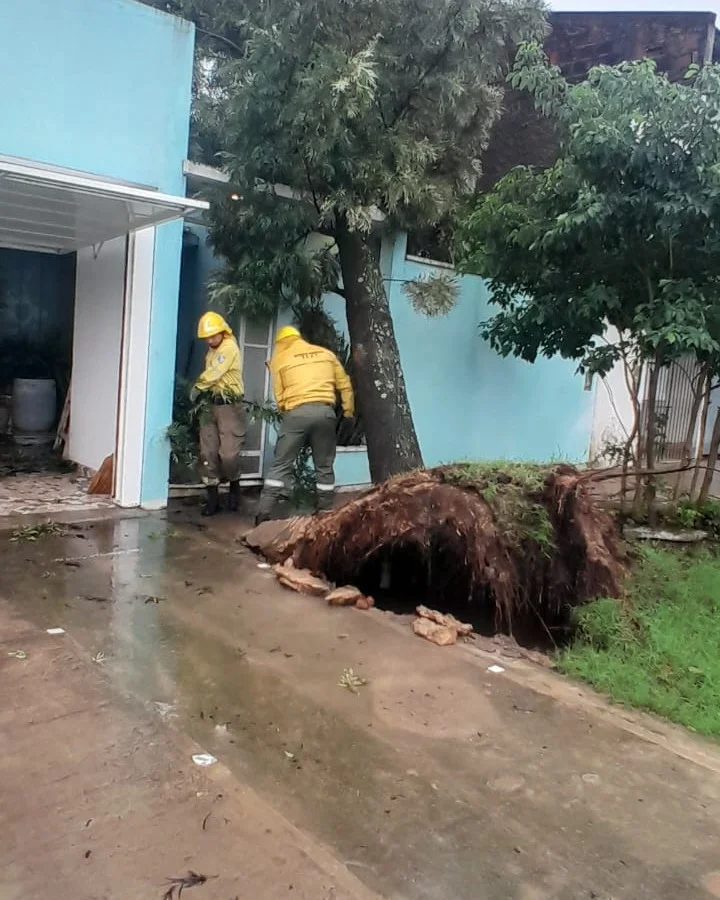 Miniatura de imagen 2
