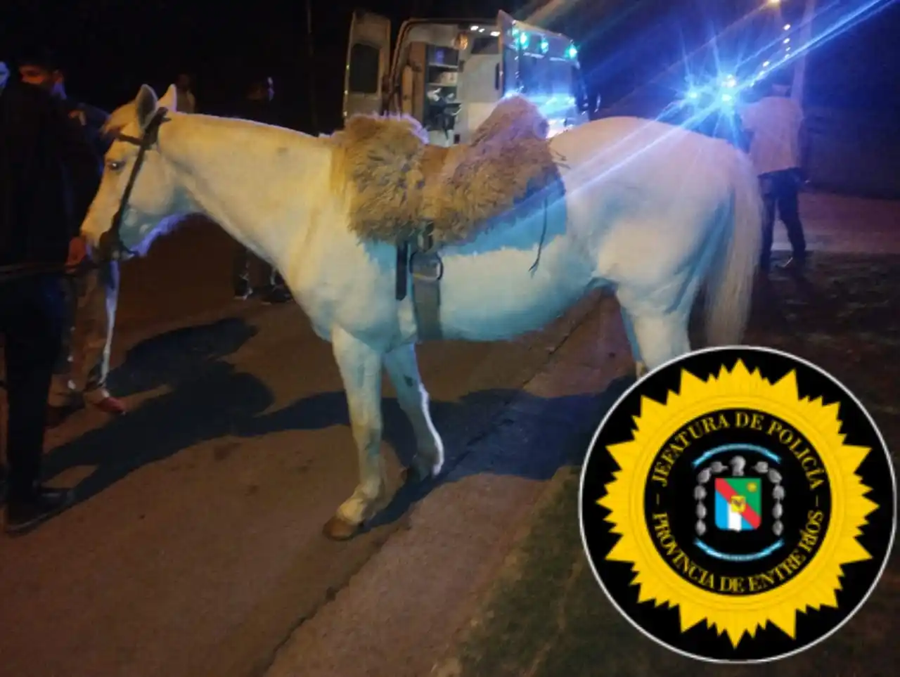 En Victoria un hombre de 39 años sufrió graves lesiones tras caer de un caballo