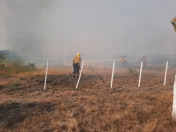 Los bomberos intervinieron en 366 incendios en campos y basurales en lo que va de enero