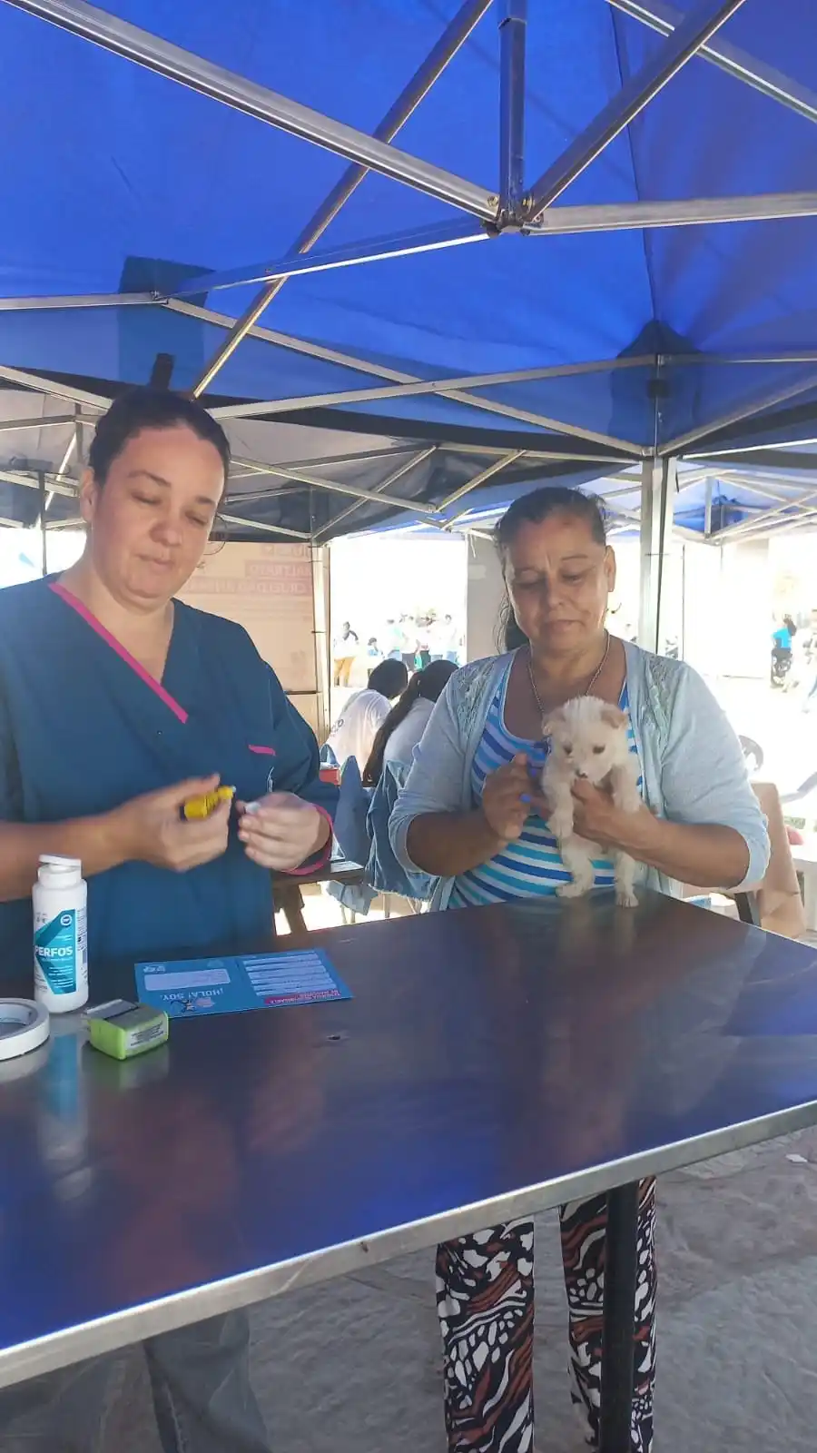 Continúa la iniciativa para la adopción responsable de animales