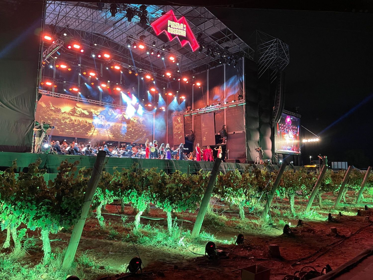 Fiesta de la Cosecha: Vino, música y magia en el aeropuerto de Mendoza