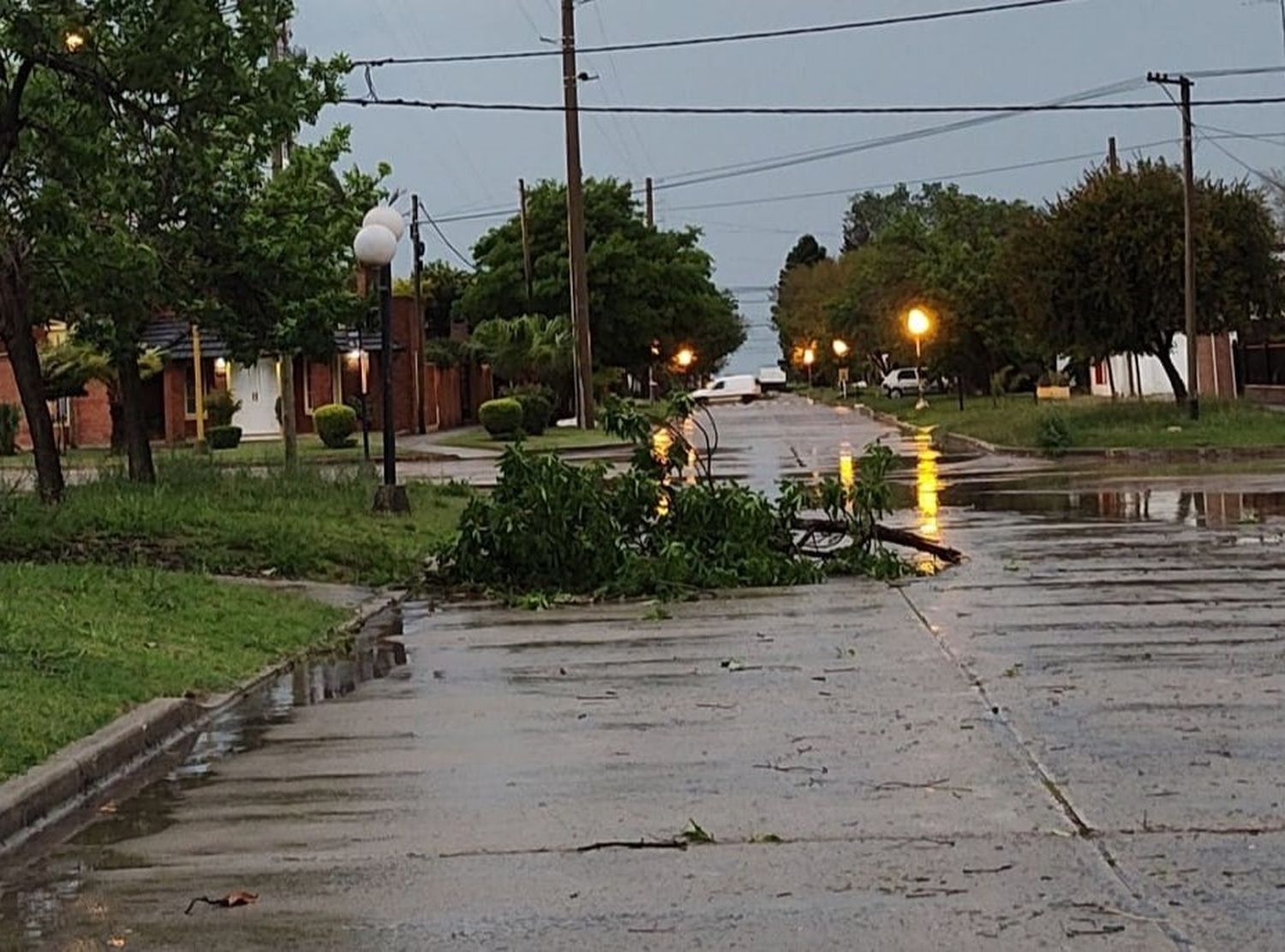 temporal cerrito