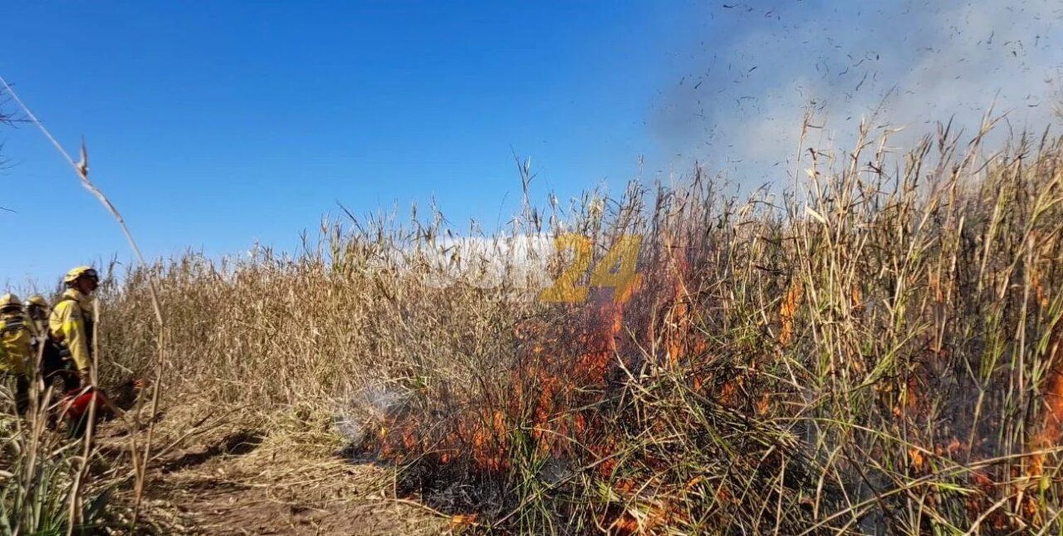 Delta: fuego controlado tras la intervención de 120 militares