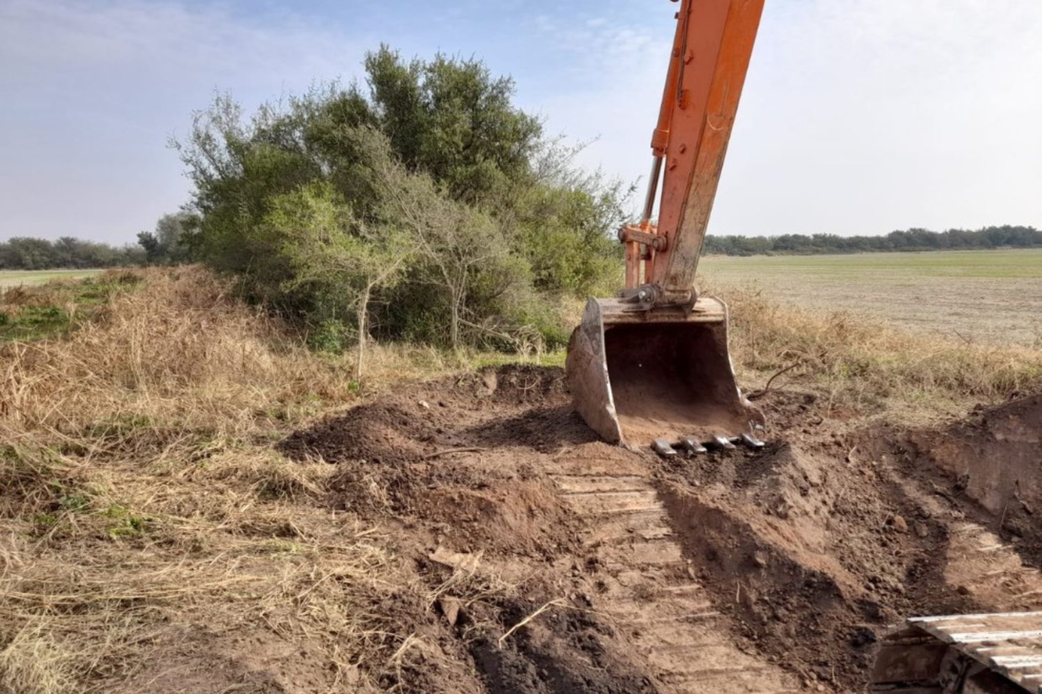 Policía Ambiental frenó desmontes en Chipión, Arroyito y otras cuatro localidades