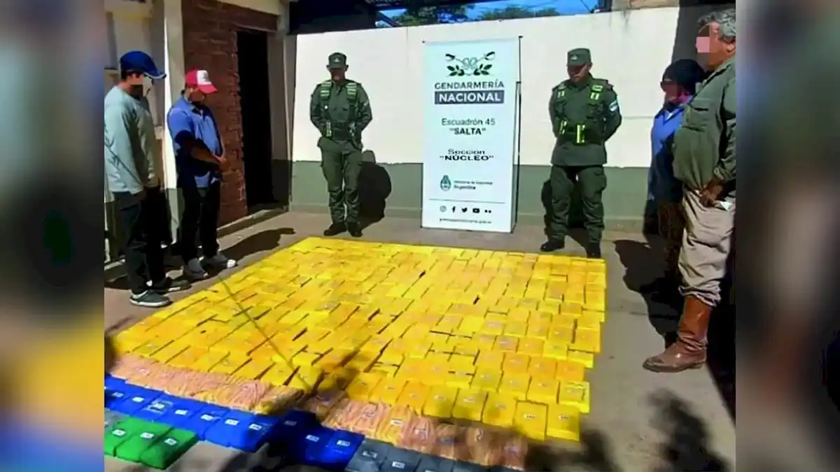 La cocaína decomisada en Salta.
