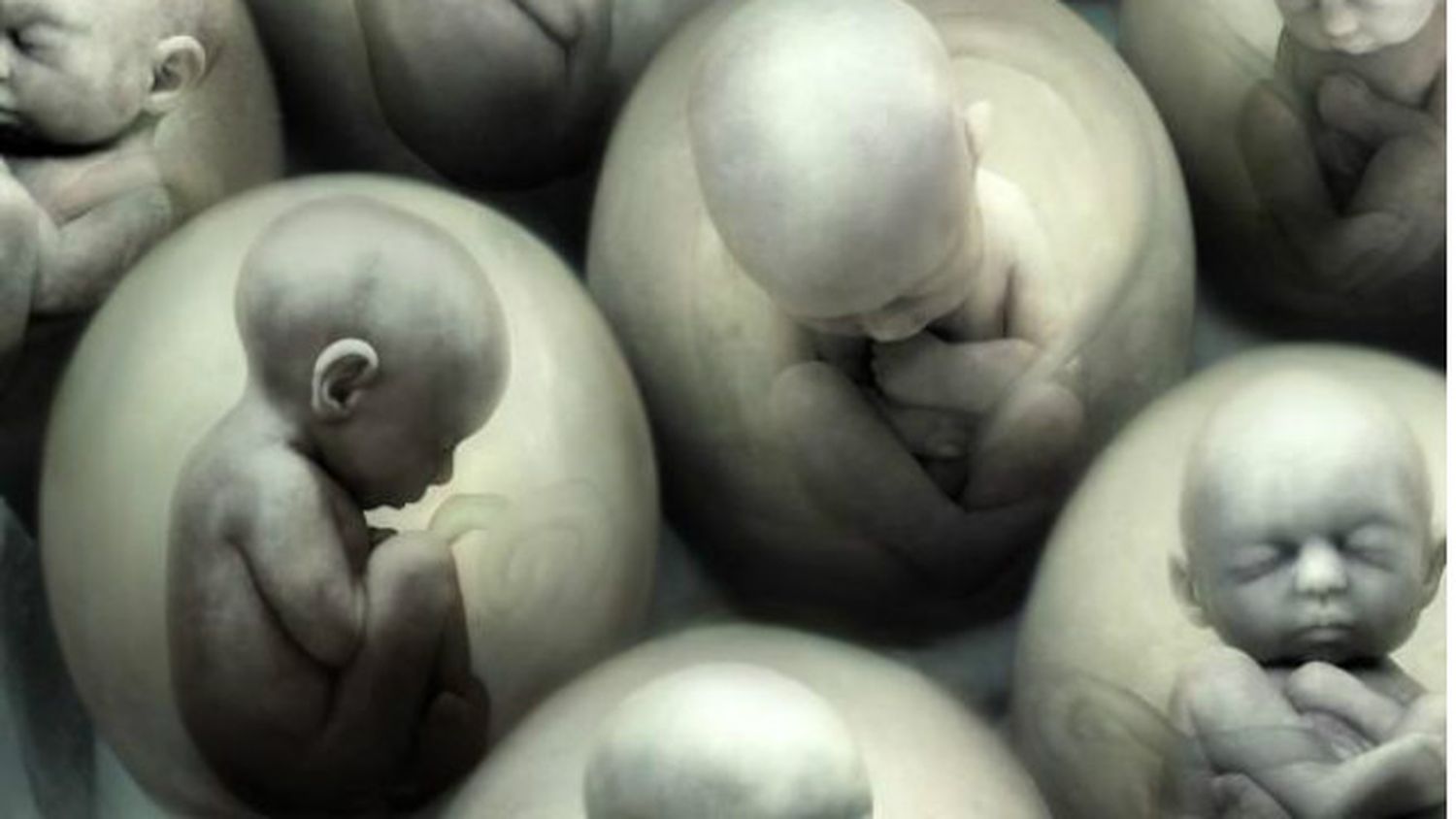 ¿Qué dice el Gobierno sobre el Aborto?
