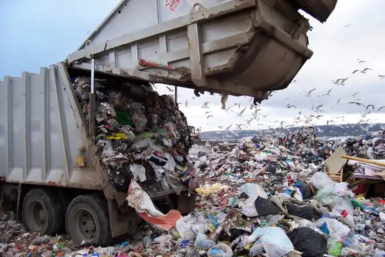 Avanza un proyecto que busca transformar la basura en alimentos, energía y biofertilizantes