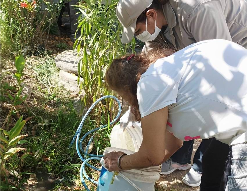 Dengue: brigadistas encontraron varios
focos de larvas de Aedes en viviendas