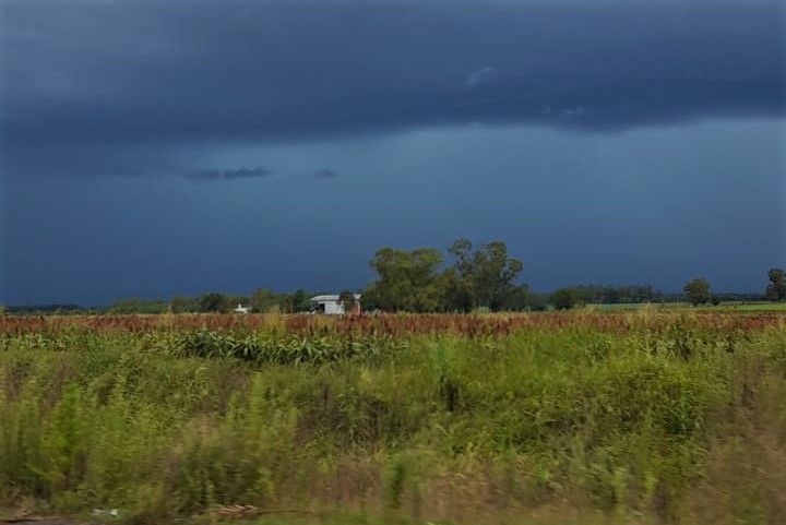Temporal: rige alerta meteorológica por “lluvias intensas y ráfagas de viento”