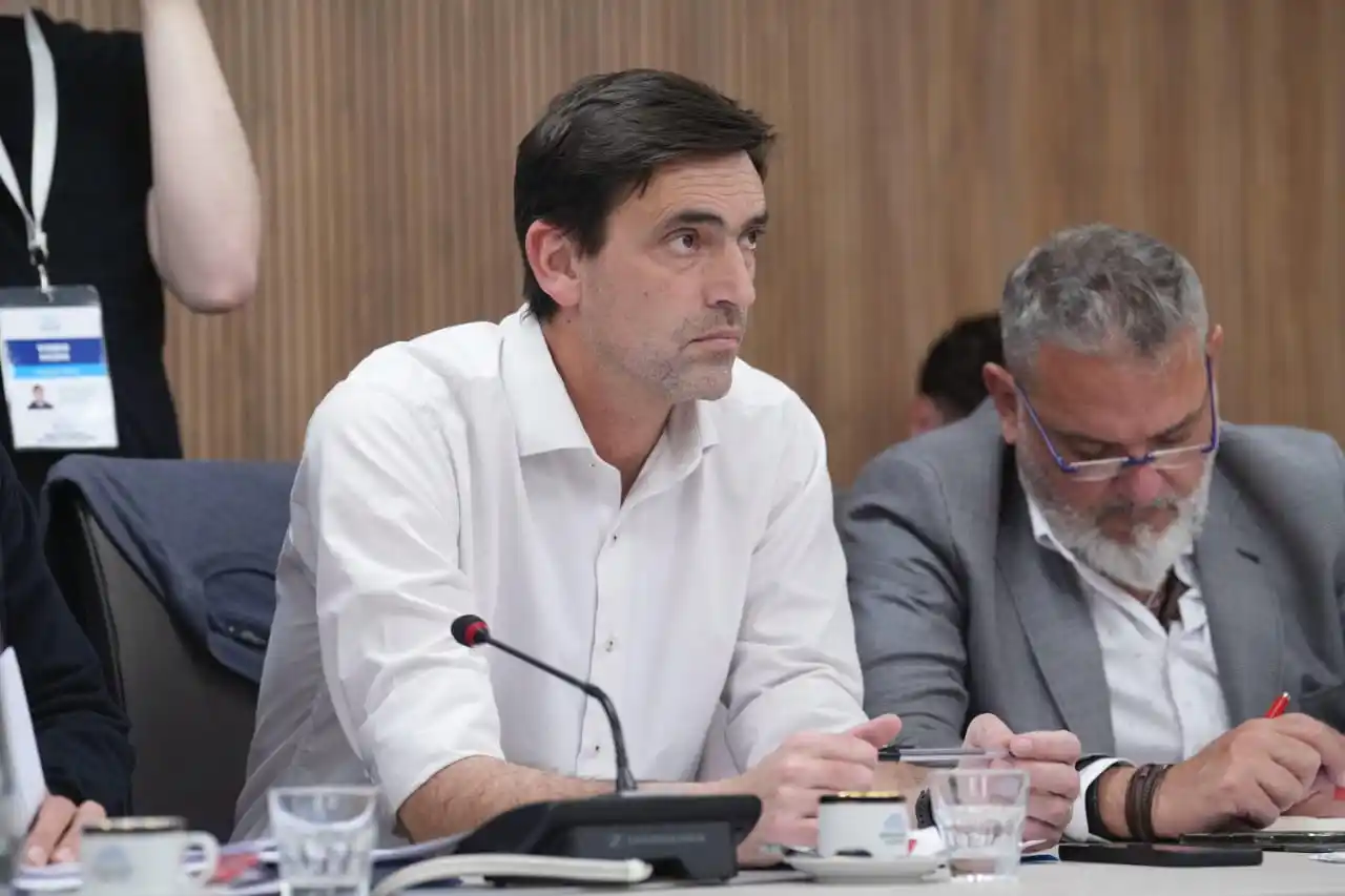 "Busca maximizar la renta y el beneficio en pocas manos, en detrimento de los usuarios comunes"