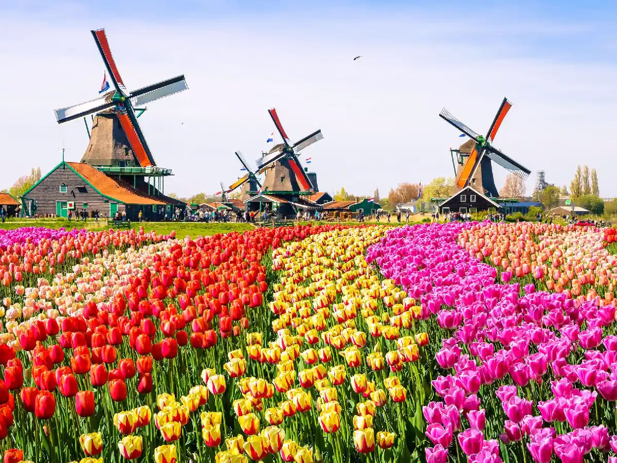 Los cambios de denominaciones de los países, una constante en los últimos 50 años