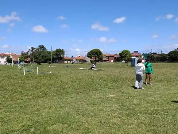 Amigos del Museo MAR rechazan el proyecto inmobiliario en la “Canchita de los Bomberos”