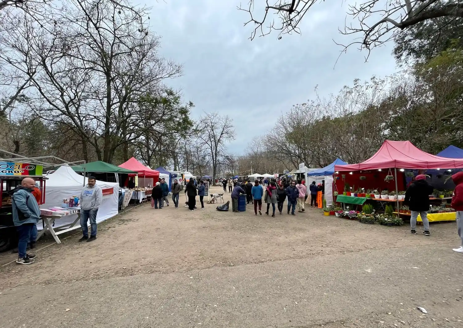 Fiesta de la ensaimada: paella, stands, espectáculos y hoy último día de feria
