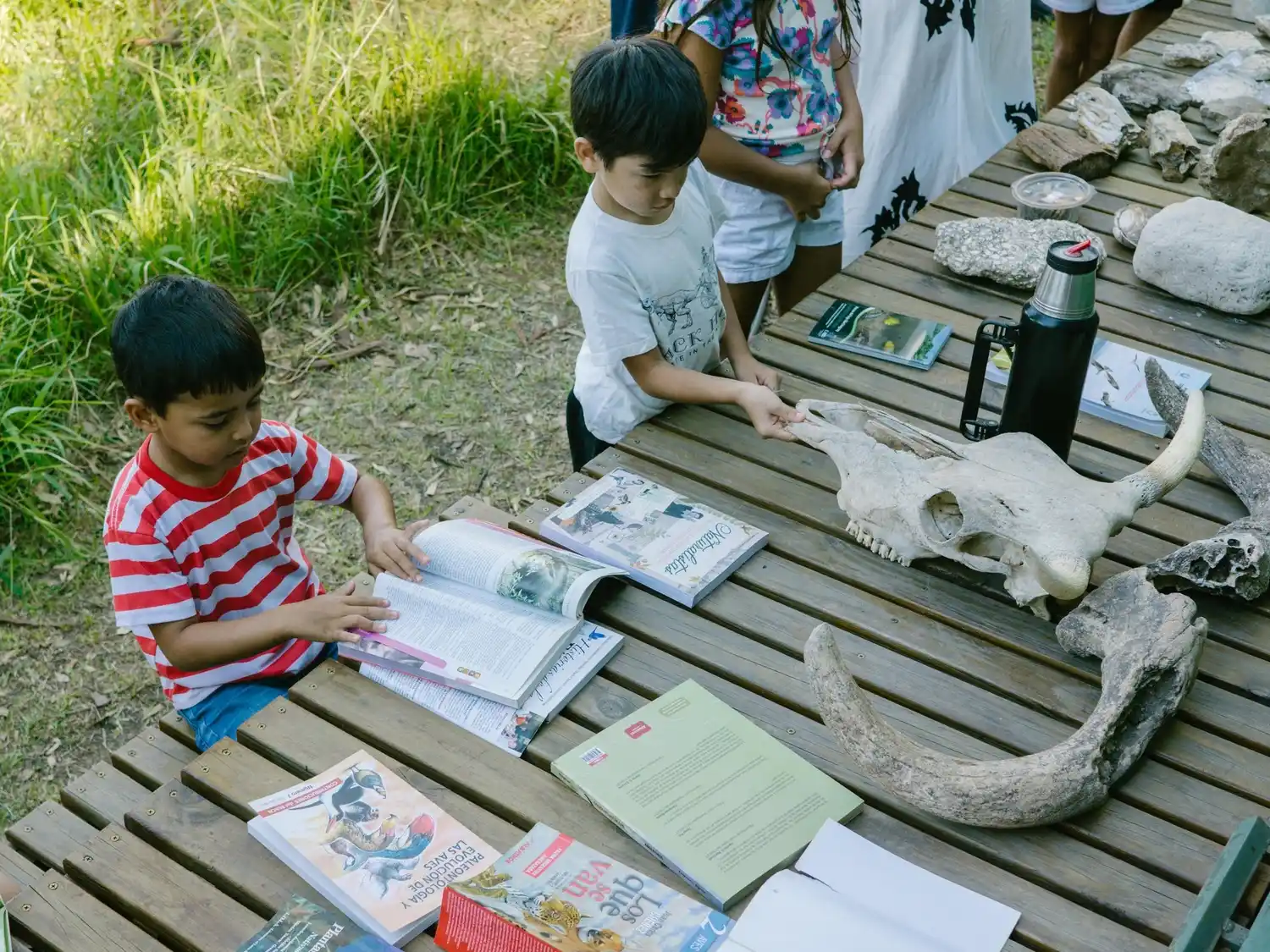Invierno activo en Gualeguay: balance positivo y nuevas propuestas para el fin de semana