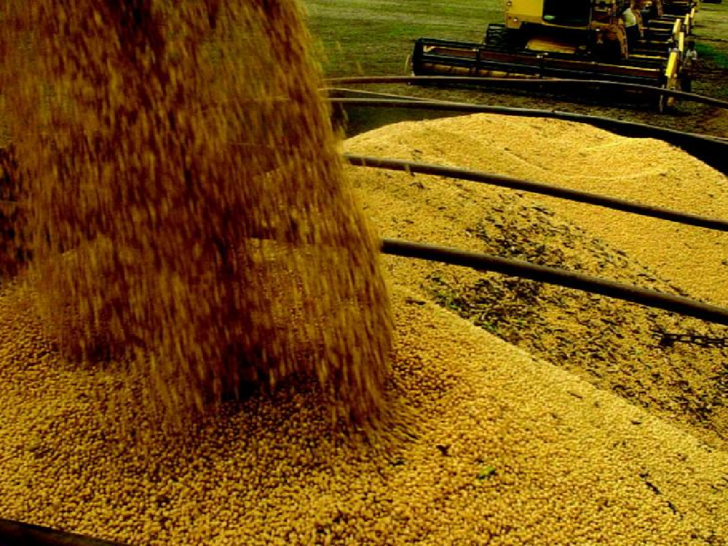 El agro otra vez en alerta por retenciones