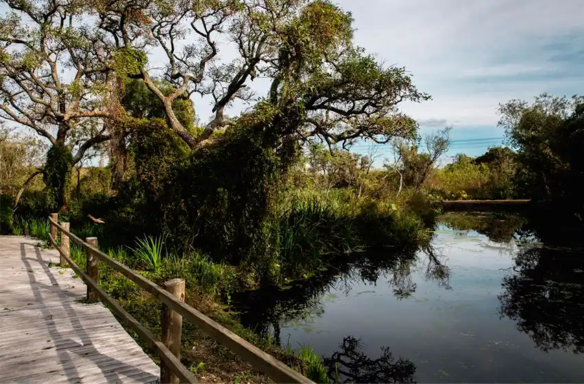 La Provincia avanza en la proyección de nuevos parques ambientales