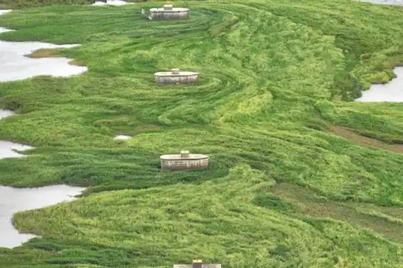 "Día D": el miércoles anuncian cuándo y cómo retirarán el embalsado que tapona la Setúbal