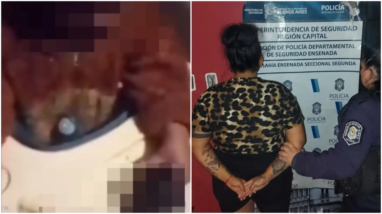 "Es para los giles": grabó a su bebé jugando con un revólver, lo subió a redes y terminó detenida en La Plata
