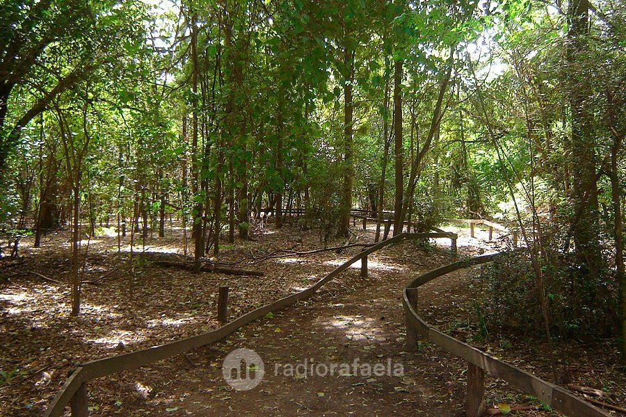 Clausuraron accesos al Bosquecito Besaccia por obras de pavimentación en bulevar Yrigoyen