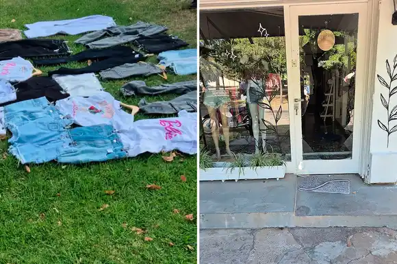 Madre e hija unidas por la delincuencia: atacaron a un remisero, a un agente de la GUR y terminaron detenidas