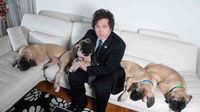 Fin del misterio: Revelaron donde están los perros de Milei