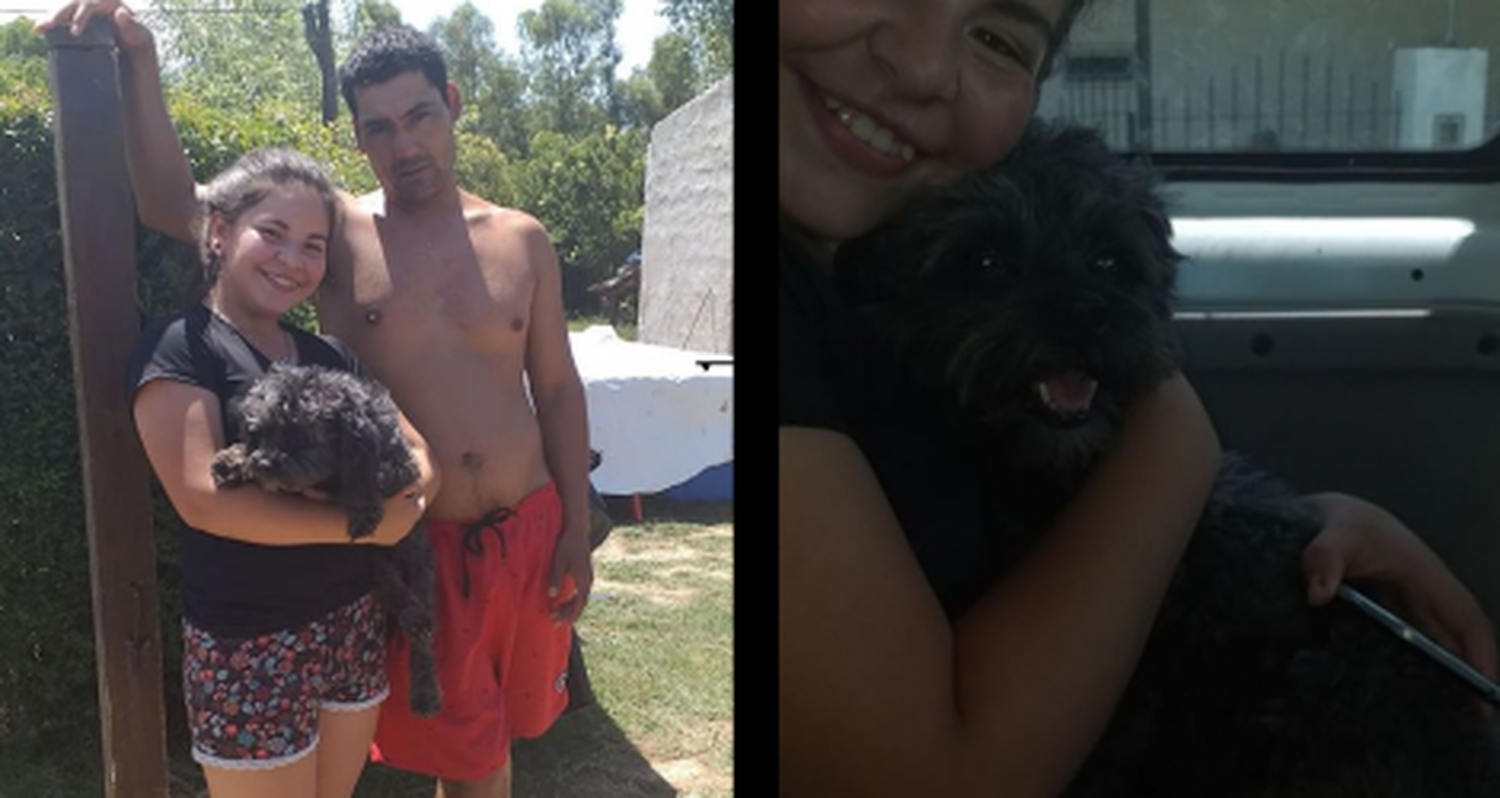 Recuperaron una mascota perdida en Navidad
