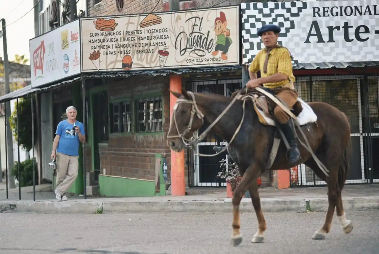 Los dueños de caballos tendrán que registrarlos en la municipalidad