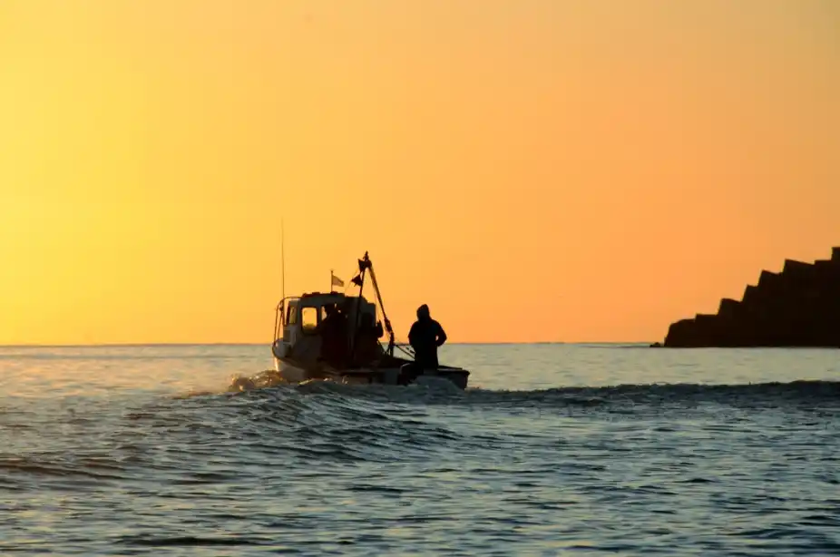 Los valores registrados son normales para esta época del año, indicaron desde el INIDEP.