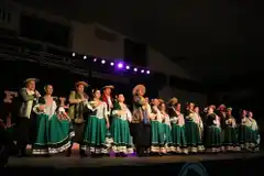 Llega el Tandil Canta y Baila Folklore con entrada libre y solidaria