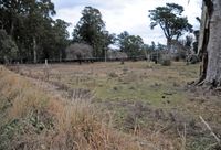 El Municipio ató los indicadores urbanísticos de Sans Souci a la ampliación de la planta depuradora