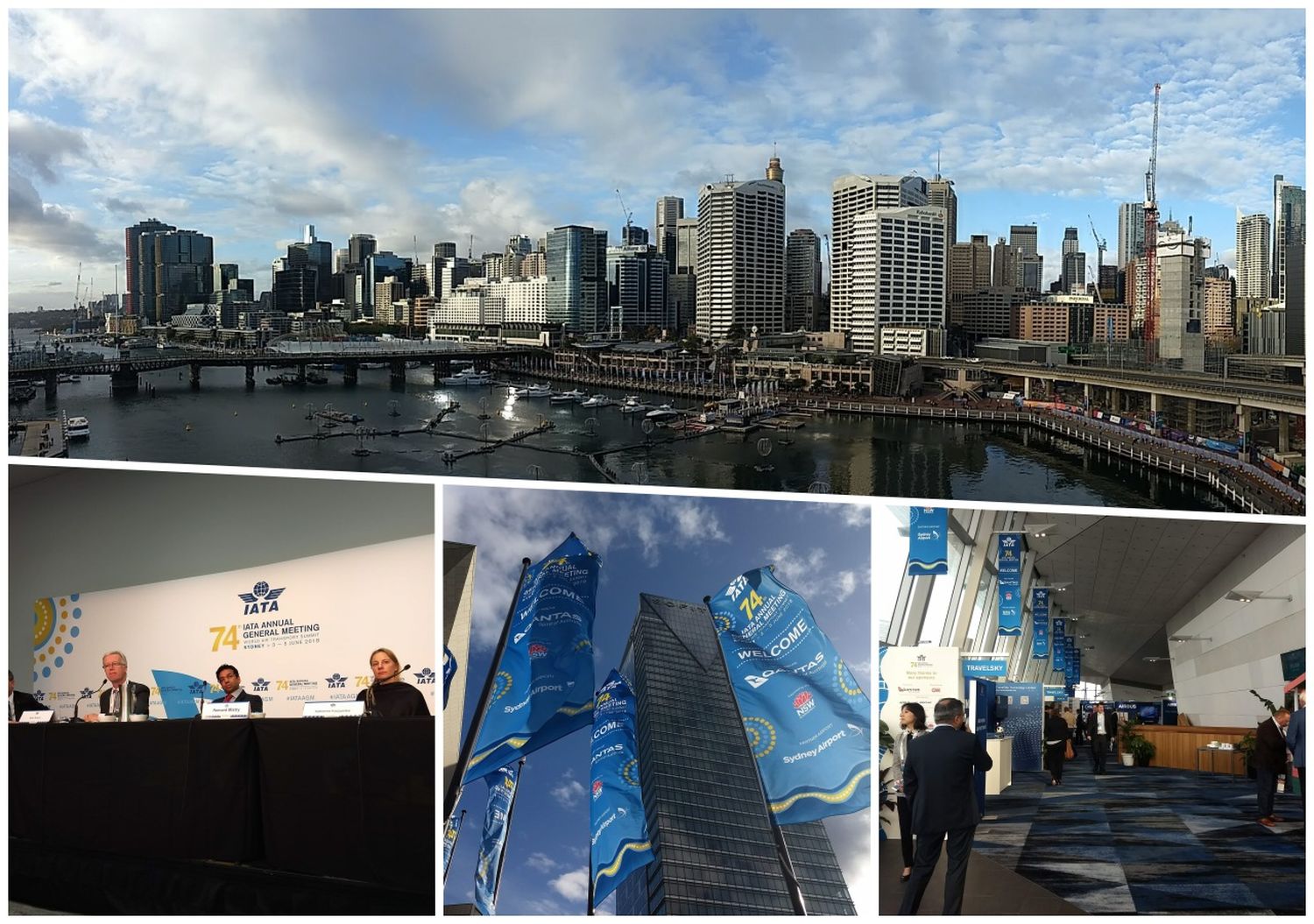 Aviacionline en la 74° Asamblea General Anual de la IATA en Sydney