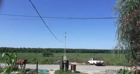 En el barrio Bajo Cementerio quieren que corten el pasto