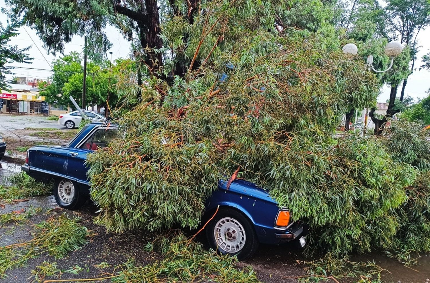 Se suspenden las clases en todos los turnos, niveles y modalidades en Mar Chiquita y Miramar