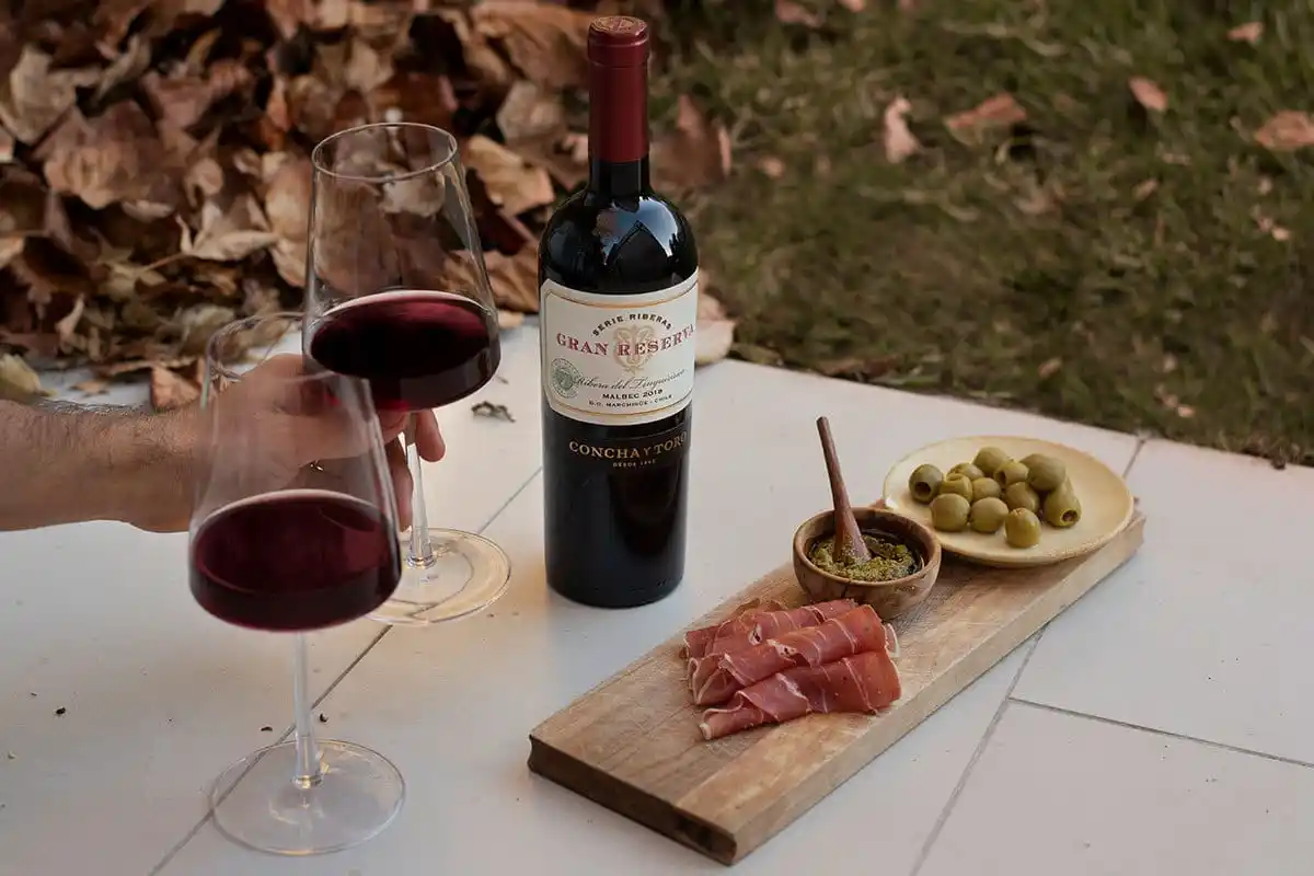 El Malbec: lo propio, lo social y lo cultural de Argentina