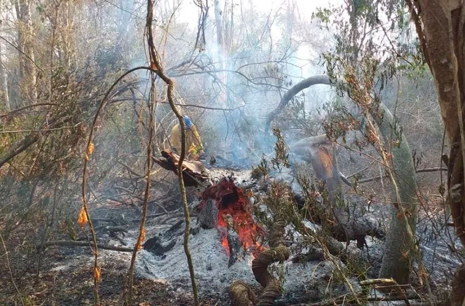 Jujuy y Neuquén continúan afectadas por incendios forestales
