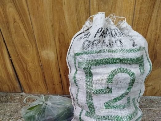 paltas robadas