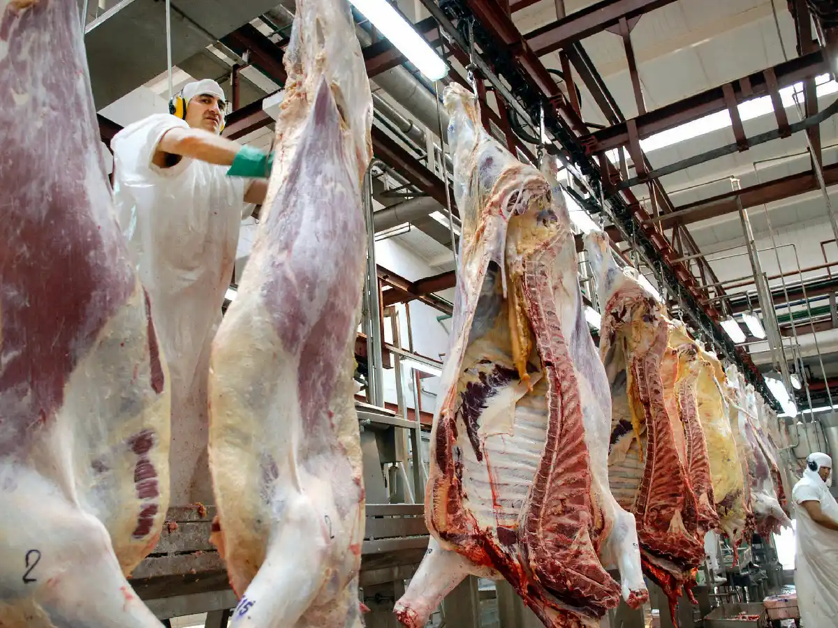 Endurecen controles a las exportaciones de  carne, granos y lácteos