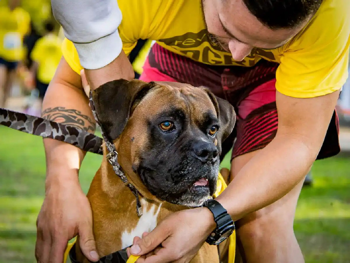  Celebran el Día del Animal en plaza Vélez Sarsfield