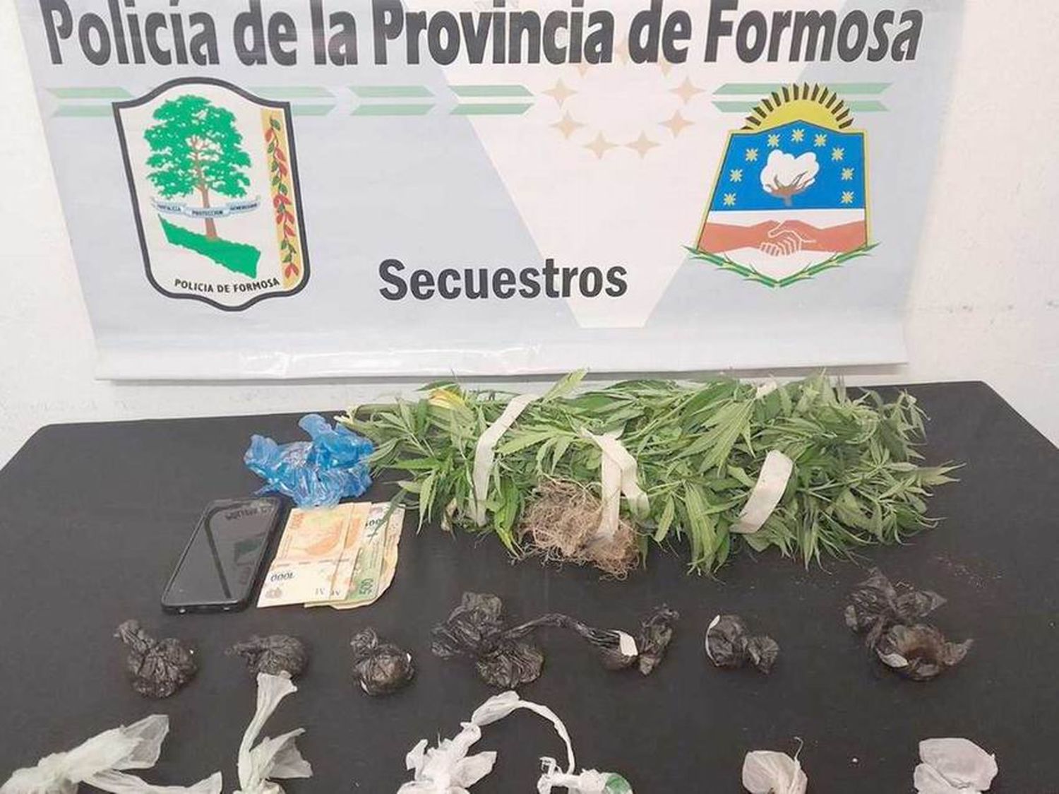 Un dealer fue detenido y en su casa secuestraron plantas de marihuana