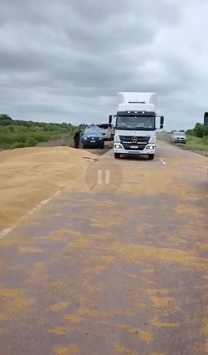 Un camión cargado con soja volcó en la Ruta Provincial 2 y bloqueó completamente el tránsito: ya fue liberada - 1