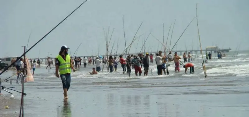 Verano 2024 en Provincia: Agenda de festivales y eventos para los últimos días de enero