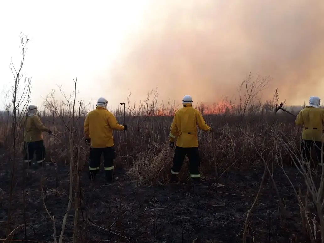 El viento reavivó algunos focos de incendio en las islas del Delta 