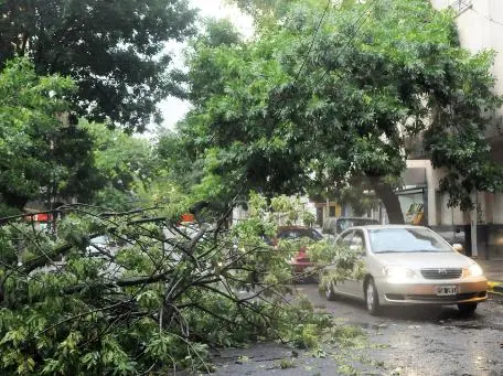 Temporal: Las consecuencias de la tormenta en La Plata
