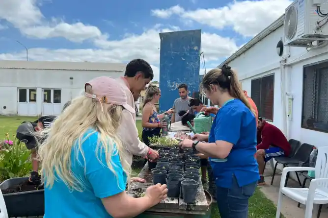 El Centro de Día del barrio 30 de Mayo y el CAPS San Cayetano recibieron plantines de temporada