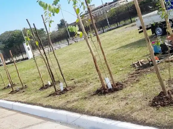 El cuidado de los espacios públicos es responsabilidad de todos