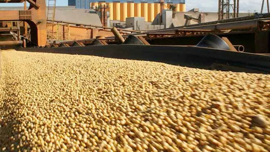 Liquidaron US$ 1.600 millones por dólar soja