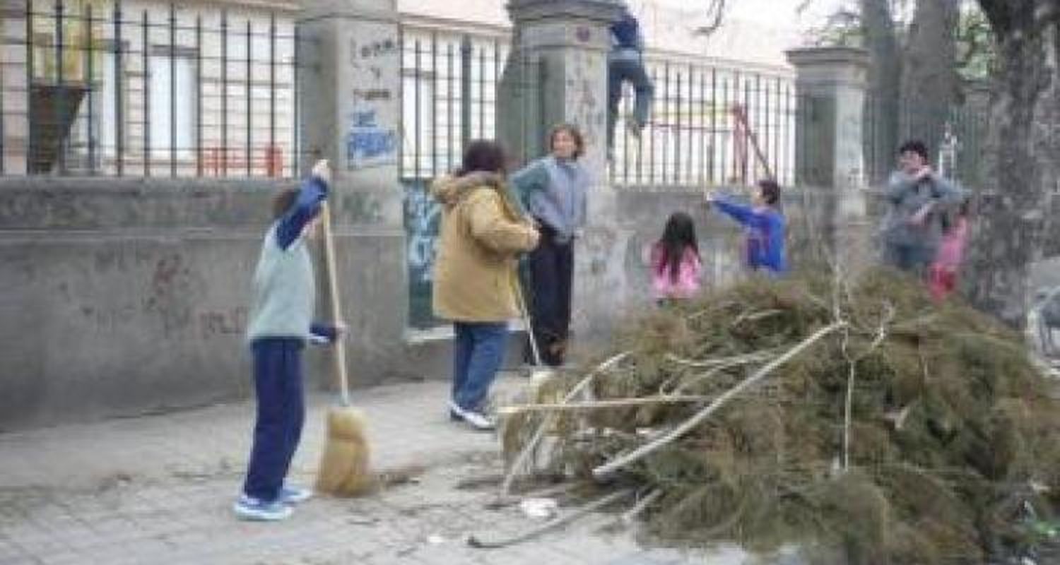 Solidarios